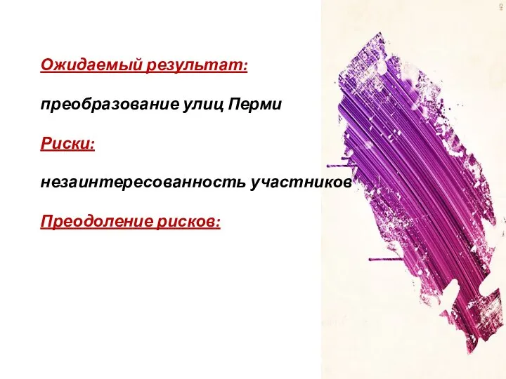 Ожидаемый результат: преобразование улиц Перми Риски: незаинтересованность участников Преодоление рисков: