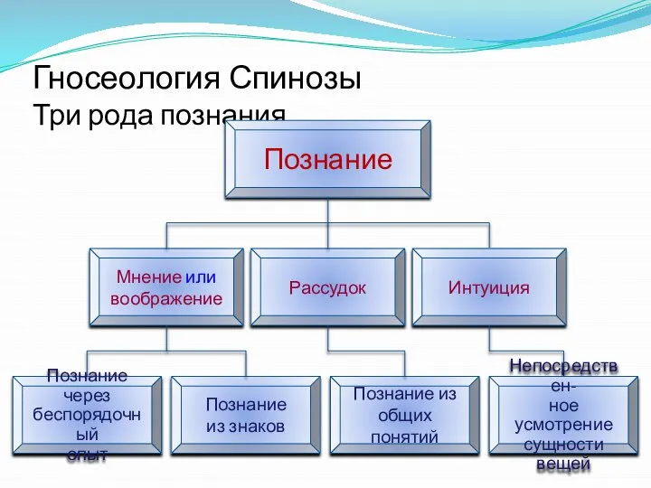 Гносеология Спинозы Три рода познания Познание Рассудок Мнение или воображение Познание через