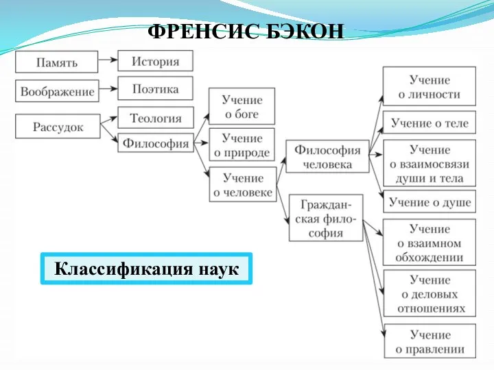 ФРЕНСИС БЭКОН Классификация наук