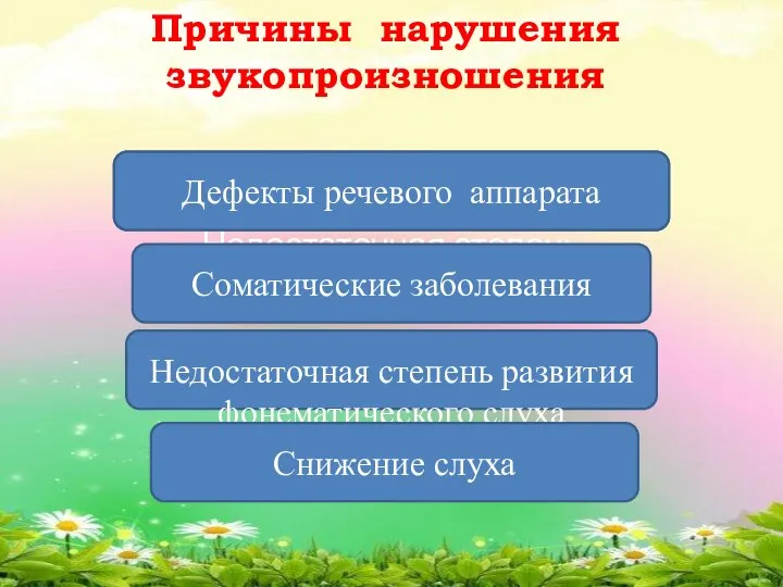 Причины нарушения звукопроизношения Дефекты речевого аппарата Недостаточная степень развития Недостаточная степень развития