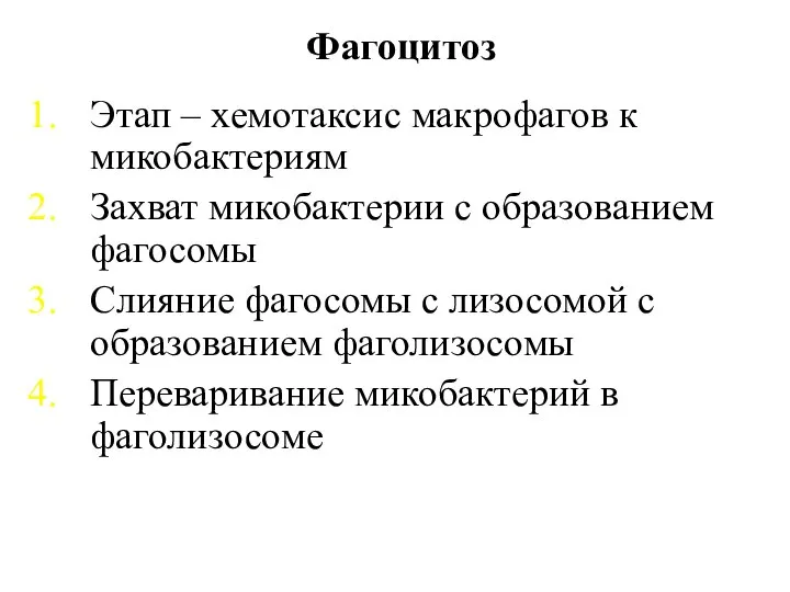 Фагоцитоз Этап – хемотаксис макрофагов к микобактериям Захват микобактерии с образованием фагосомы