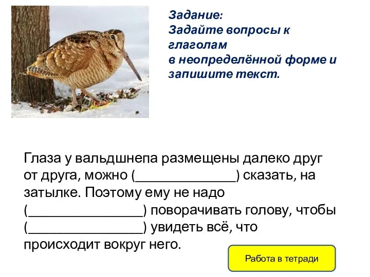 Задание: Задайте вопросы к глаголам в неопределённой форме и запишите текст. Глаза