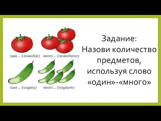 Задание: Назови количество предметов, используя слово «один»-«много»