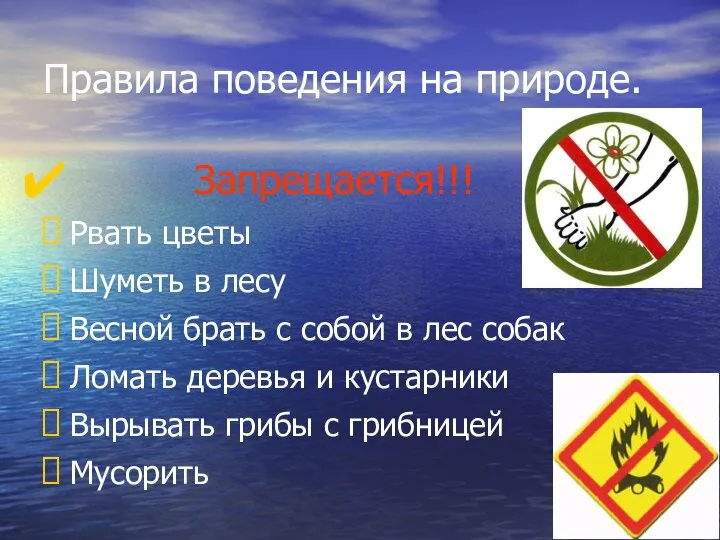 Правила поведения на природе. Запрещается!!! Рвать цветы Шуметь в лесу Весной брать