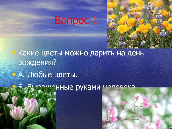 Вопрос 1 Какие цветы можно дарить на день рождения? А. Любые цветы. Б. Выращенные руками человека.