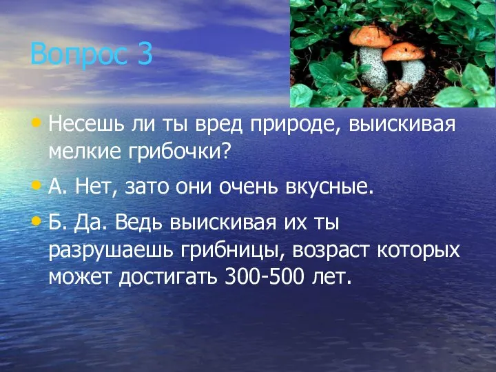 Вопрос 3 Несешь ли ты вред природе, выискивая мелкие грибочки? А. Нет,