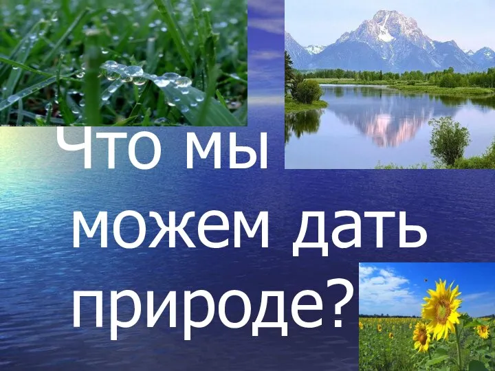 Что мы можем дать природе?