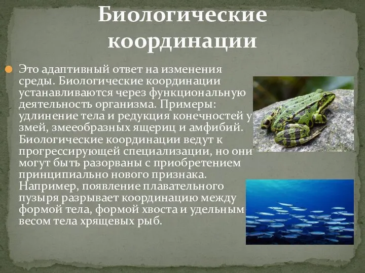 Это адаптивный ответ на изменения среды. Биологические координации устанавливаются через функциональную деятельность