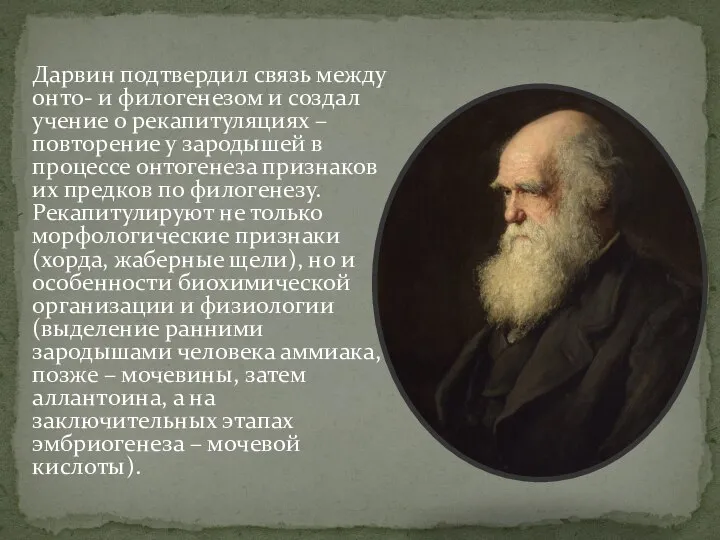 Дарвин подтвердил связь между онто- и филогенезом и создал учение о рекапитуляциях