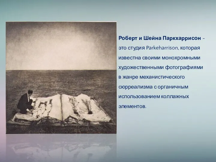 Роберт и Шейна Паркхаррисон - это студия Parkeharrison, которая известна своими монохромными