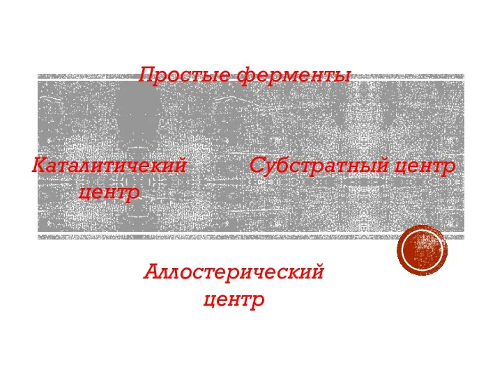 Каталитичекий центр Простые ферменты Субстратный центр Аллостерический центр