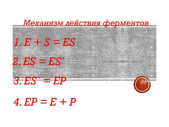 Механизм действия ферментов 1. E + S = ES 2. ES =