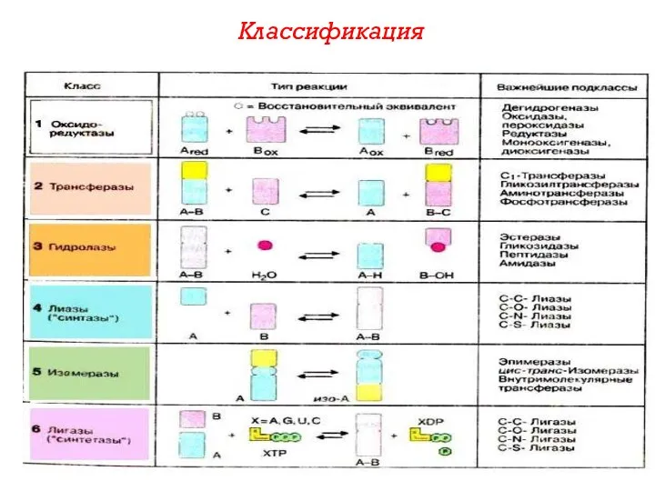 Классификация