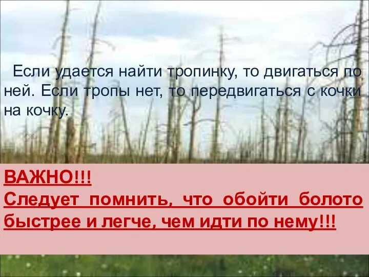 Если удается найти тропинку, то двигаться по ней. Если тропы нет, то