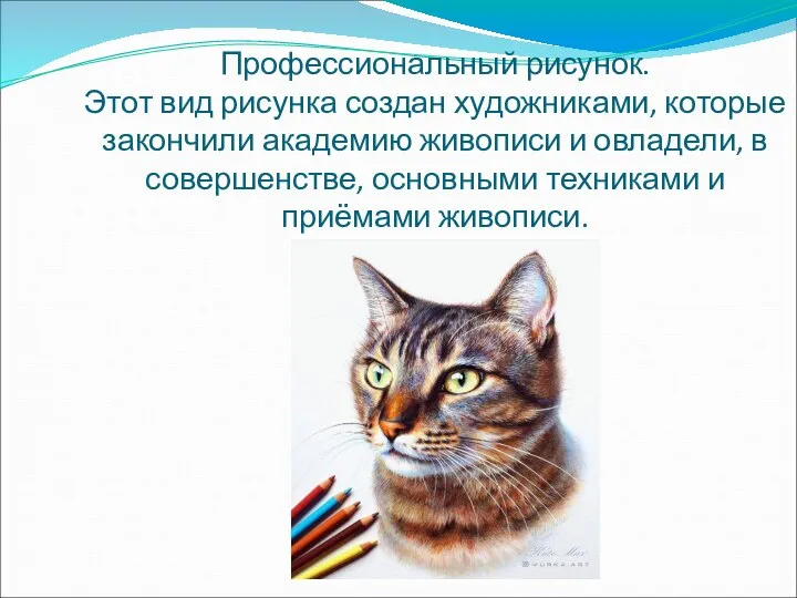 Профессиональный рисунок. Этот вид рисунка создан художниками, которые закончили академию живописи и