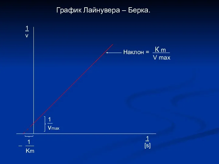 График Лайнувера – Берка. 1 vmax 1 Km Наклон = К m