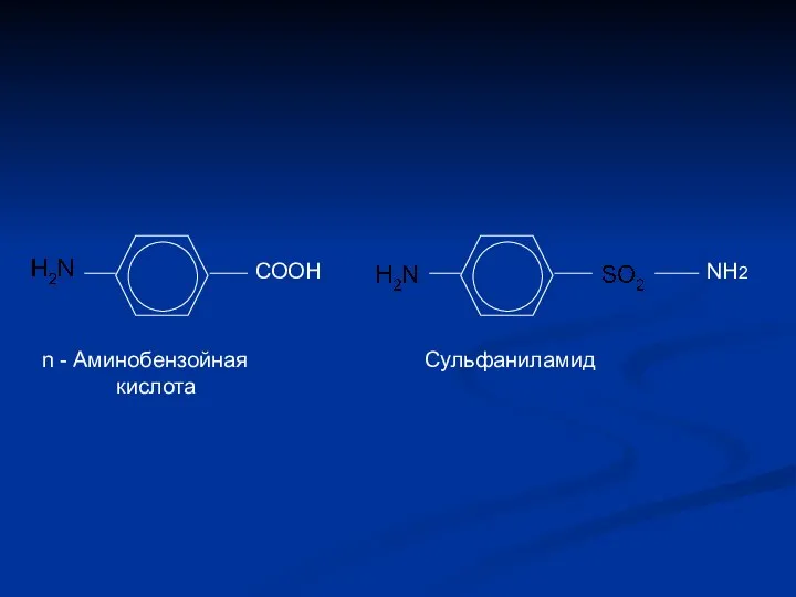 СООН NH2 n - Аминобензойная кислота Сульфаниламид