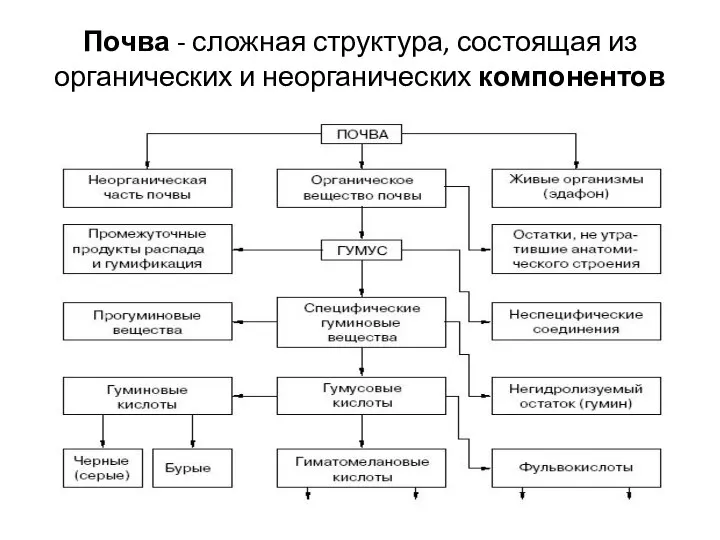 Почва - сложная структура, состоящая из органических и неорганических компонентов .