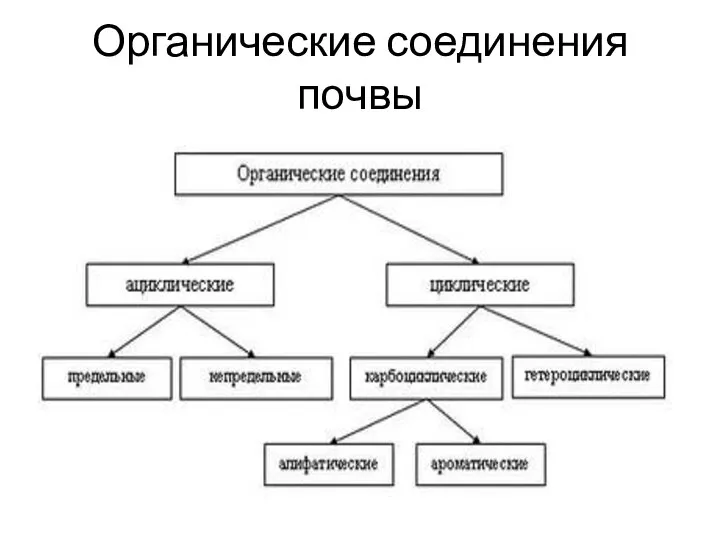 Органические соединения почвы .