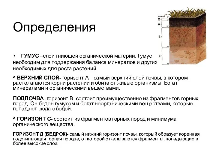 Определения ГУМУС –слой гниющей органической материи. Гумус необходим для поддержания баланса минералов