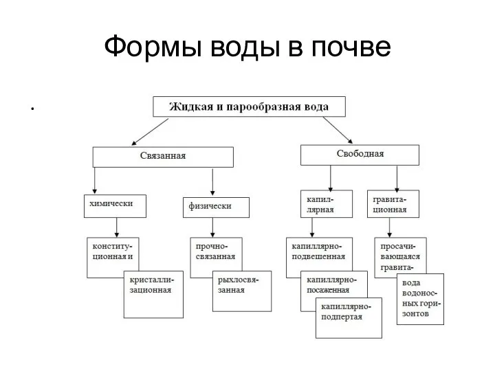 Формы воды в почве .