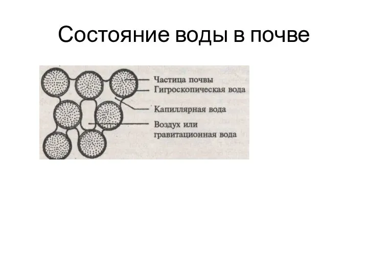 Состояние воды в почве