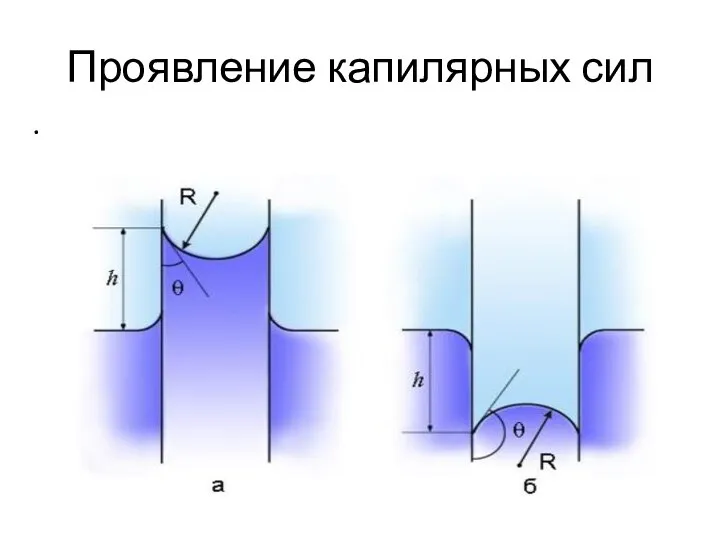 Проявление капилярных сил .