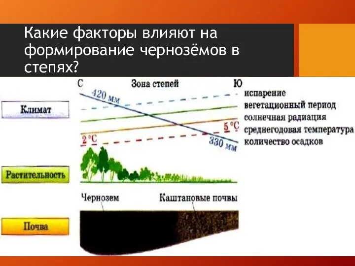 Какие факторы влияют на формирование чернозёмов в степях?