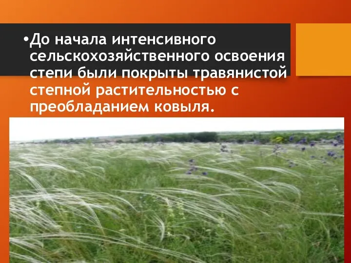 До начала интенсивного сельскохозяйственного освоения степи были покрыты травянистой степной растительностью с преобладанием ковыля.