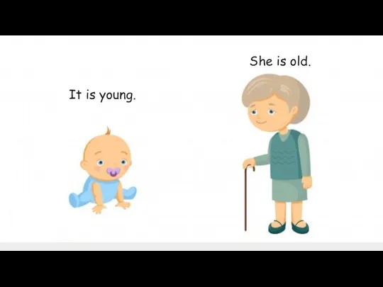She is old. It is young.