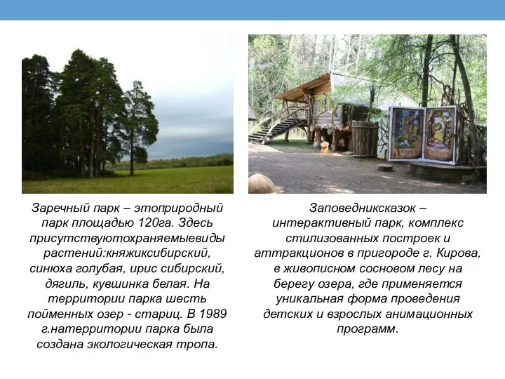 Заречный парк – этоприродный парк площадью 120га. Здесь присутствуютохраняемыевидырастений:княжиксибирский, синюха голубая, ирис