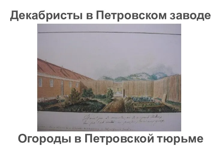 Декабристы в Петровском заводе Огороды в Петровской тюрьме