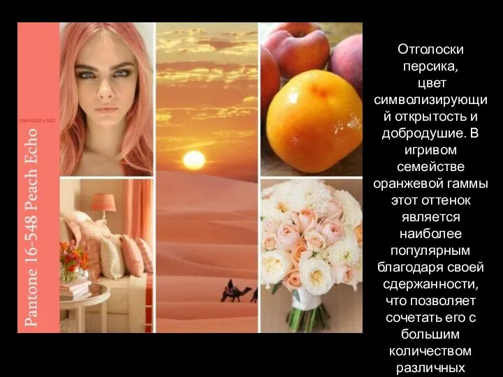 Отголоски персика, цвет символизирующий открытость и добродушие. В игривом семействе оранжевой гаммы