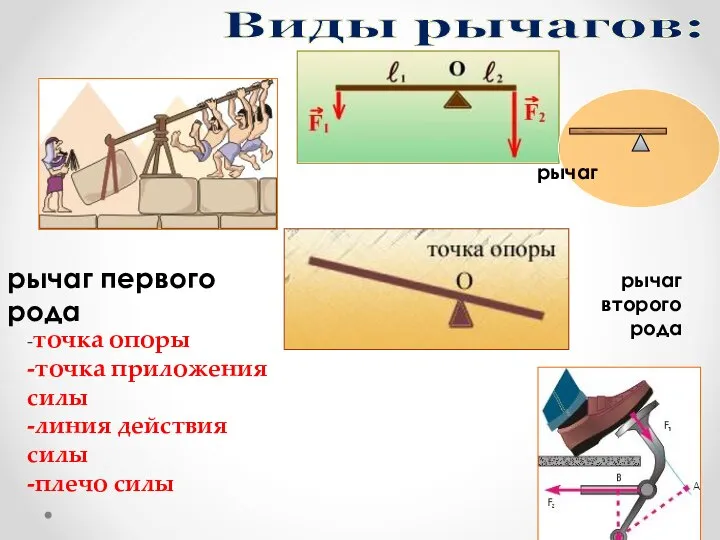 Виды рычагов: -точка опоры -точка приложения силы -линия действия силы -плечо силы