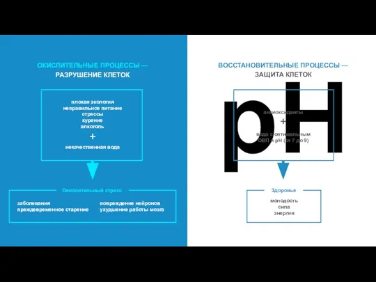 pH ВОССТАНОВИТЕЛЬНЫЕ ПРОЦЕССЫ — ЗАЩИТА КЛЕТОК антиоксиданты вода с оптимальным ОВП и