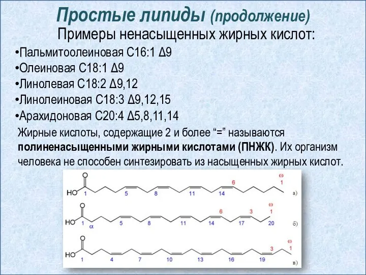 Простые липиды (продолжение) Примеры ненасыщенных жирных кислот: Пальмитоолеиновая С16:1 Δ9 Олеиновая С18:1