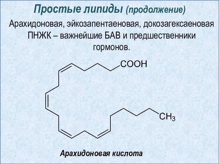 Простые липиды (продолжение) Арахидоновая, эйкозапентаеновая, докозагексаеновая ПНЖК – важнейшие БАВ и предшественники гормонов. Арахидоновая кислота