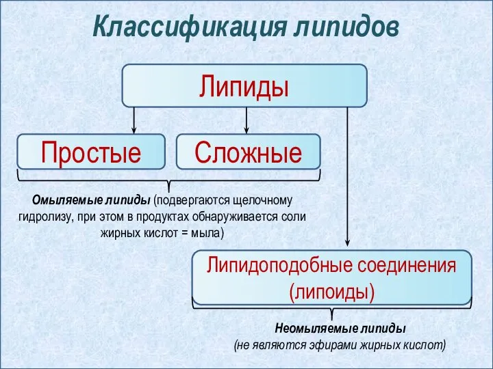 Классификация липидов Липиды Простые Сложные Липидоподобные соединения (липоиды) Омыляемые липиды (подвергаются щелочному