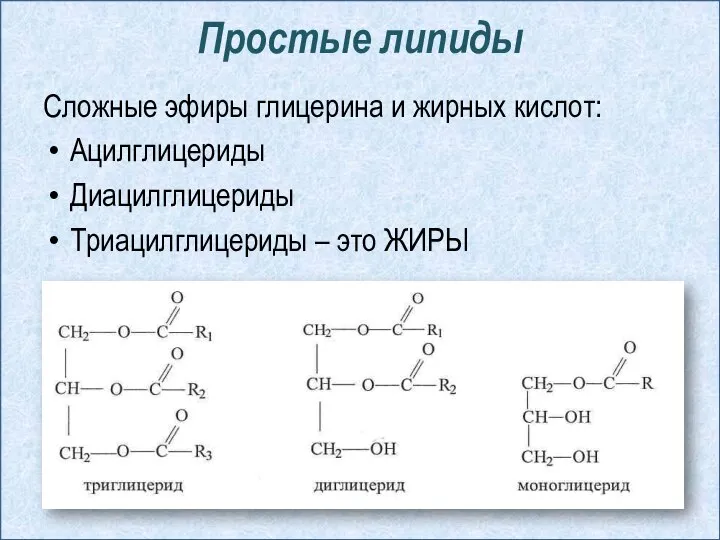 Простые липиды Сложные эфиры глицерина и жирных кислот: Ацилглицериды Диацилглицериды Триацилглицериды – это ЖИРЫ