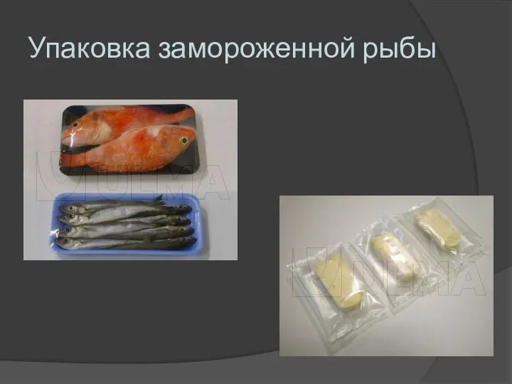 Упаковка замороженной рыбы