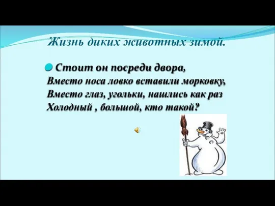 Жизнь диких животных зимой. Стоит он посреди двора, Вместо носа ловко вставили