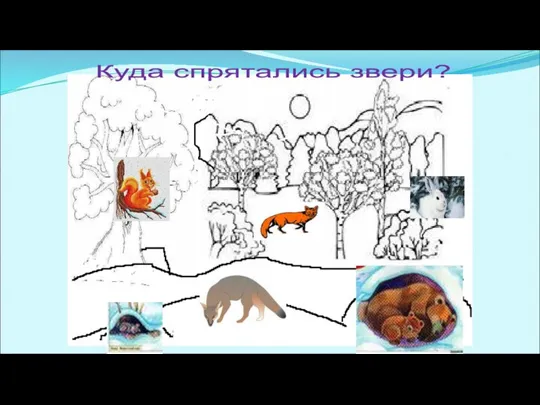 Куда спрятались звери?