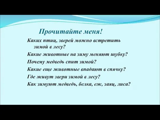 Прочитайте меня! Каких птиц, зверей можно встретить зимой в лесу? Какие животные