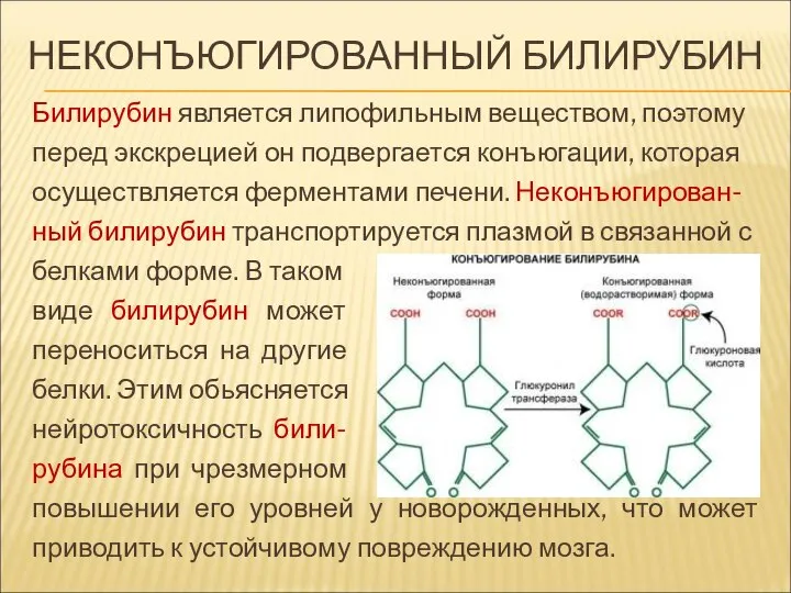НЕКОНЪЮГИРОВАННЫЙ БИЛИРУБИН Билирубин является липофильным веществом, поэтому перед экскрецией он подвергается конъюгации,