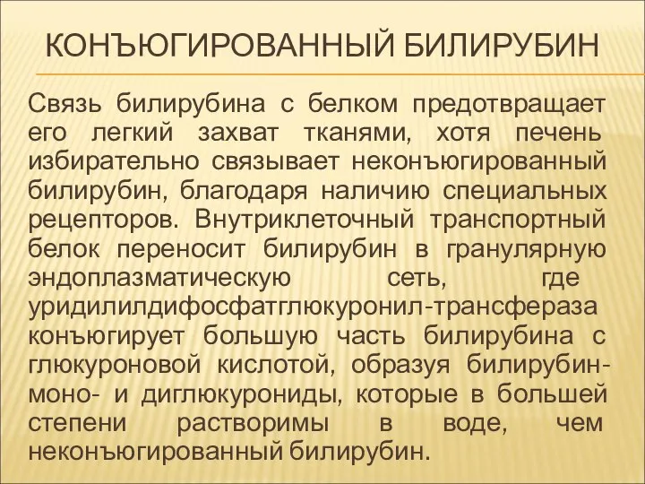 КОНЪЮГИРОВАННЫЙ БИЛИРУБИН Связь билирубина с белком предотвращает его легкий захват тканями, хотя