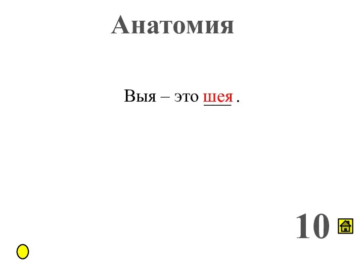 Анатомия 10 Выя – это ___ . шея