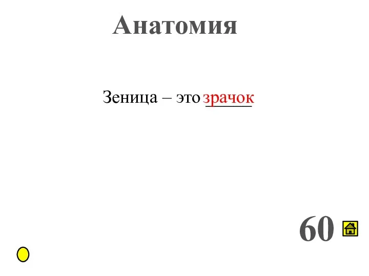 Анатомия 60 Зеница – это _____ зрачок