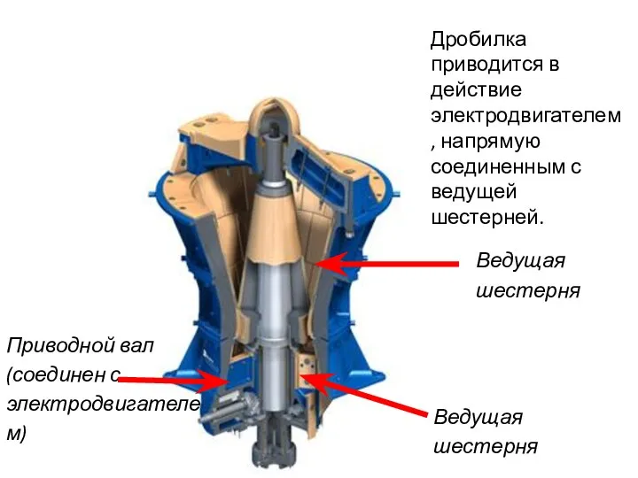 Приводной вал (соединен с электродвигателем) Ведущая шестерня Дробилка приводится в действие электродвигателем,