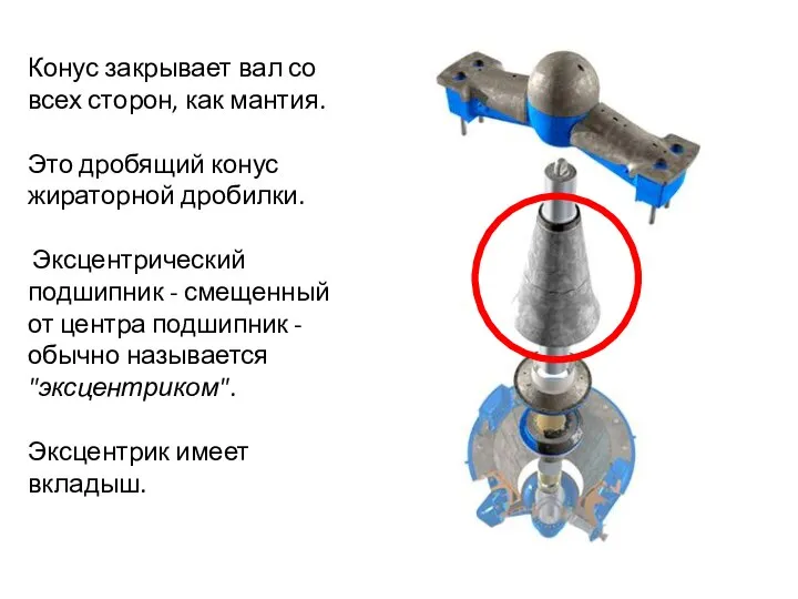 Конус закрывает вал со всех сторон, как мантия. Это дробящий конус жираторной