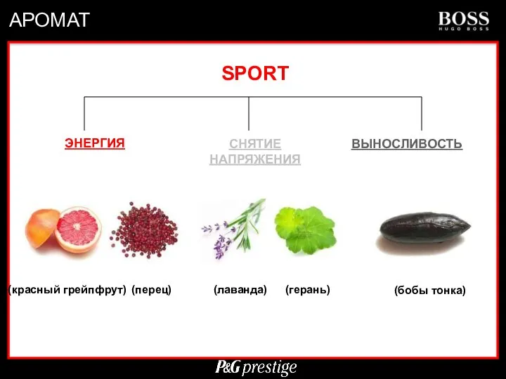 АРОМАТ (красный грейпфрут) ЭНЕРГИЯ СНЯТИЕ НАПРЯЖЕНИЯ ВЫНОСЛИВОСТЬ (перец) (лаванда) (герань) (бобы тонка) SPORT